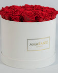 Dreamy red Roses displayed in a dapper white round box in large size 