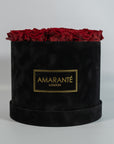 Divine wine red Roses in a polished black box 