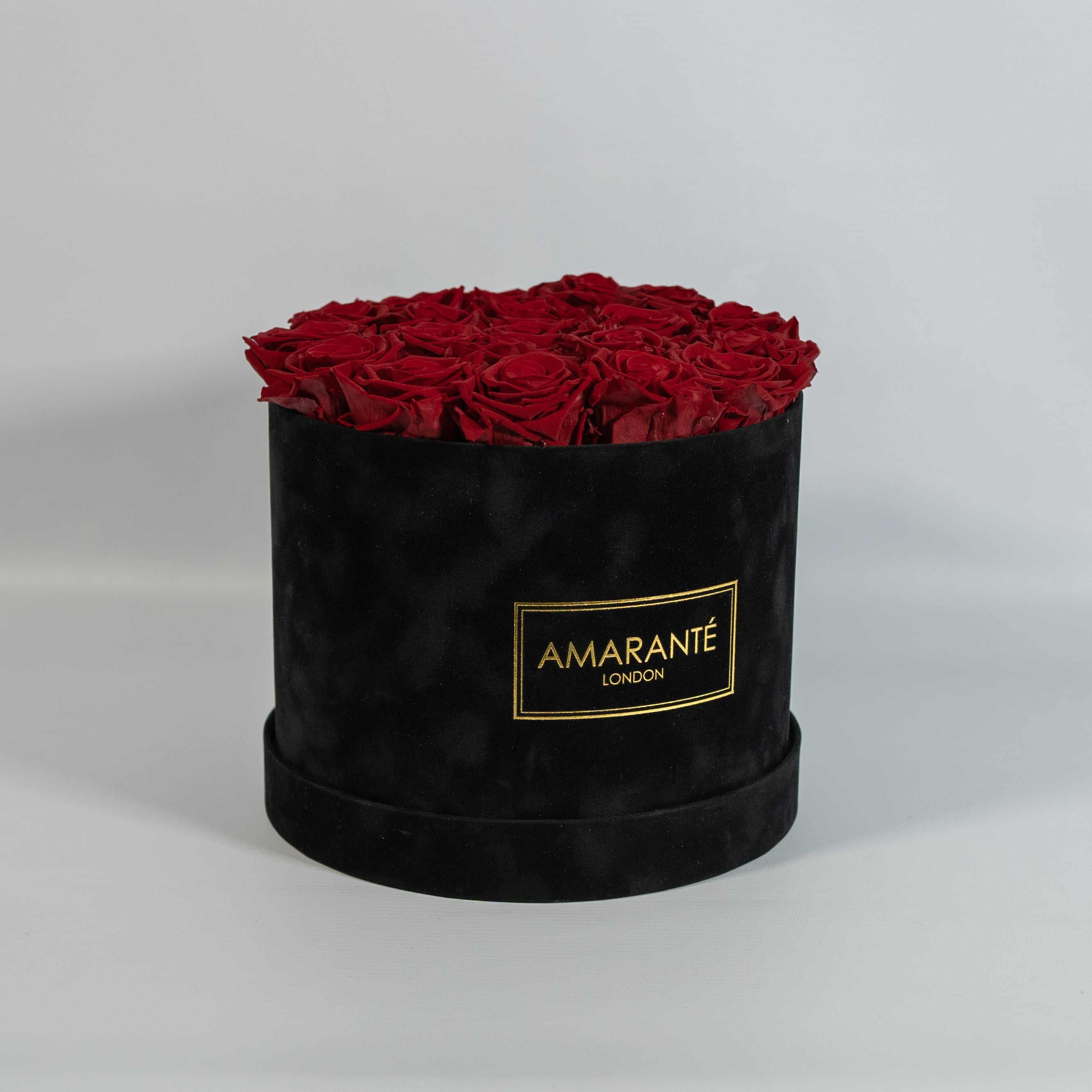 Elegant wine red Roses denoting romance and love