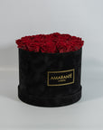 Elegant wine red Roses denoting romance and love