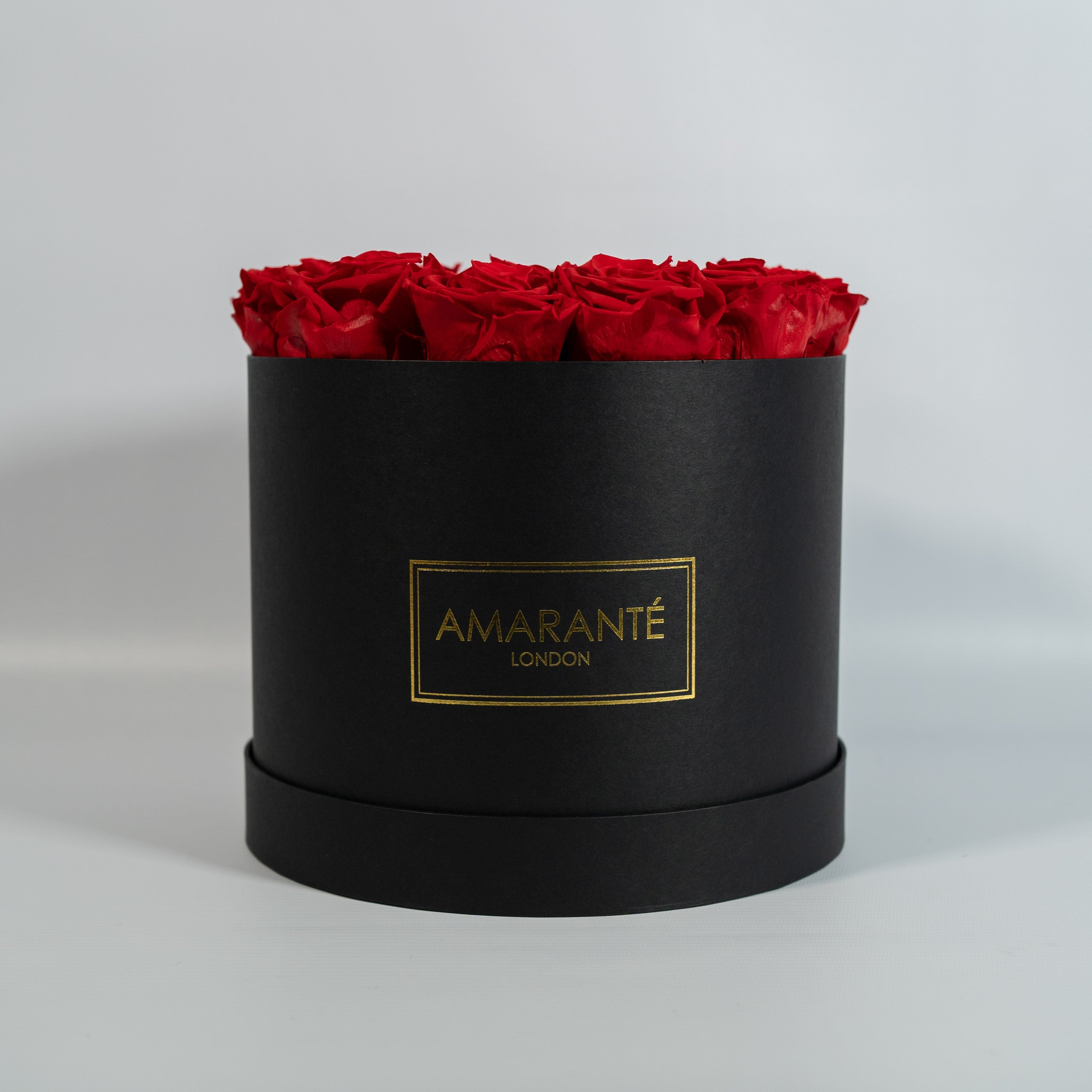 Enchanting red Roses denoting romance and love