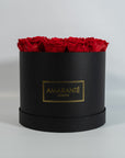 Enchanting red Roses denoting romance and love