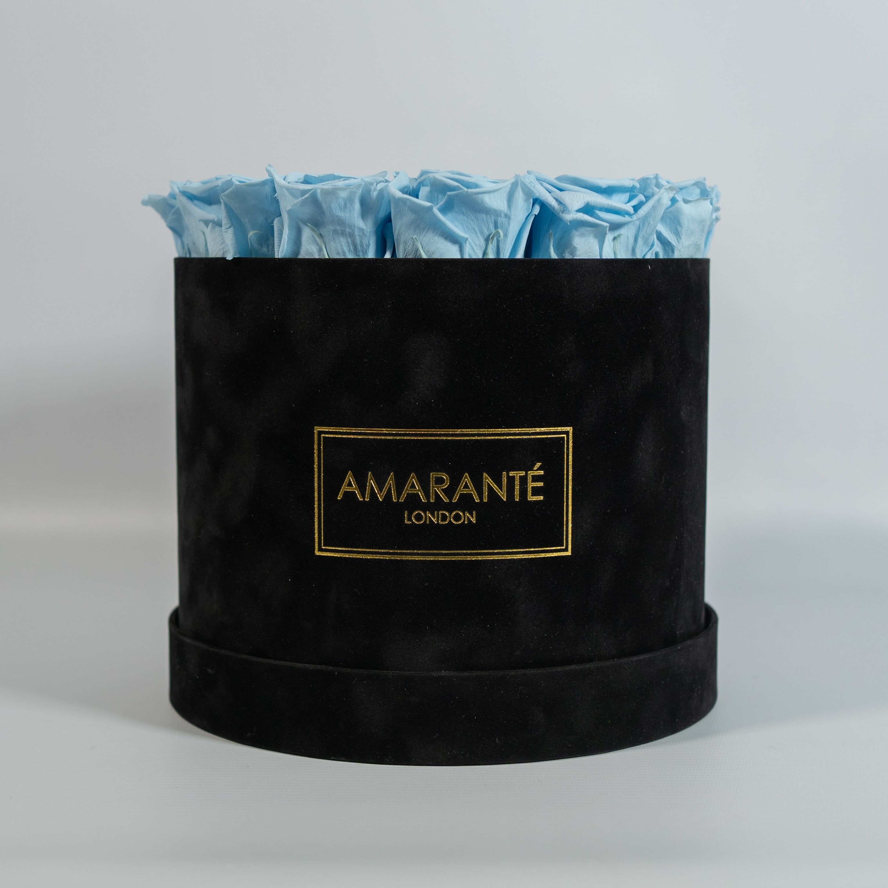 Radiant light blue Roses in a dapper black large box 