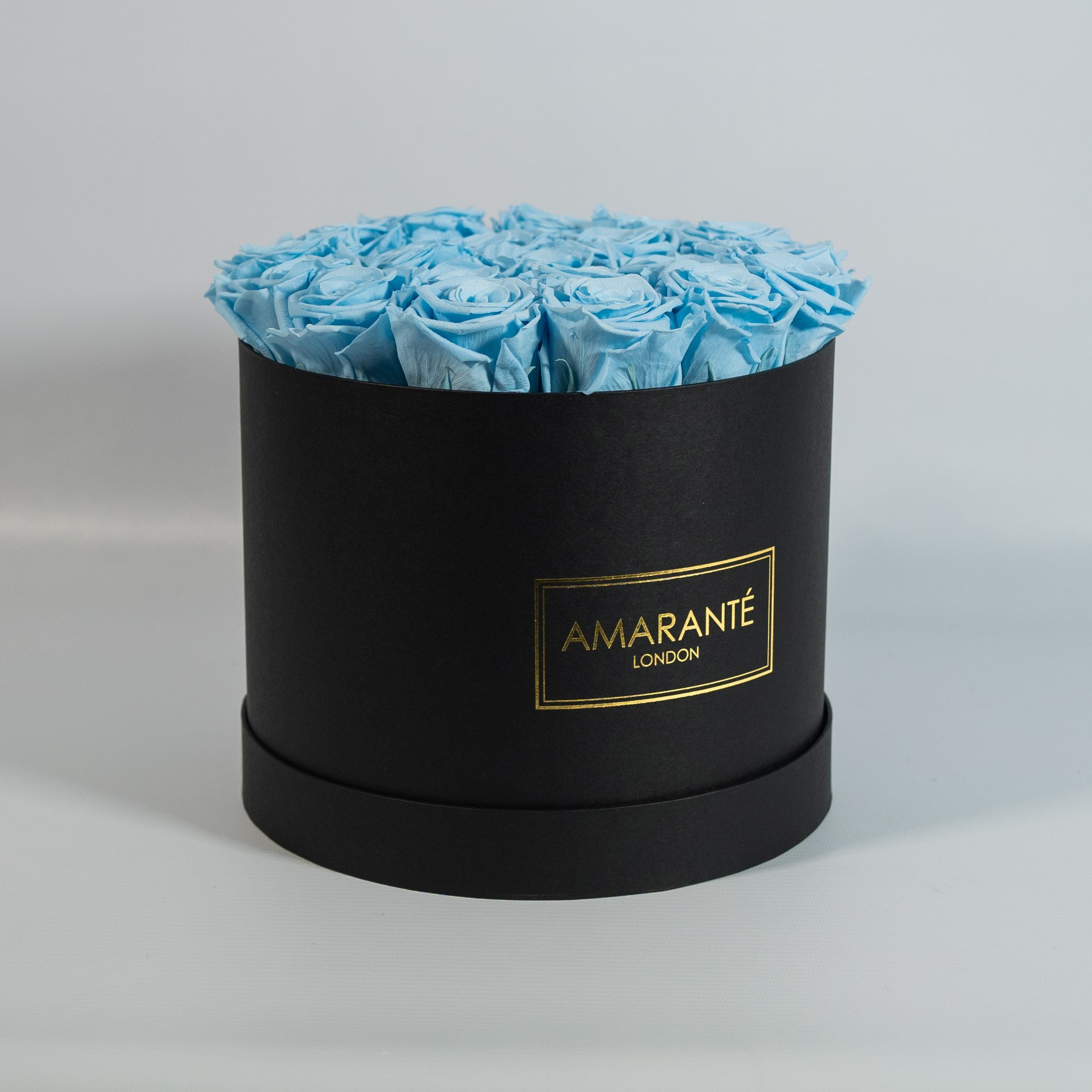 Magical light blue Roses encompassed in a dapper black box