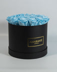 Magical light blue Roses encompassed in a dapper black box