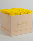 Warm yellow Roses imbedded in a modish beige box.