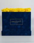 Large Royal Blue Square Suede Rose Box