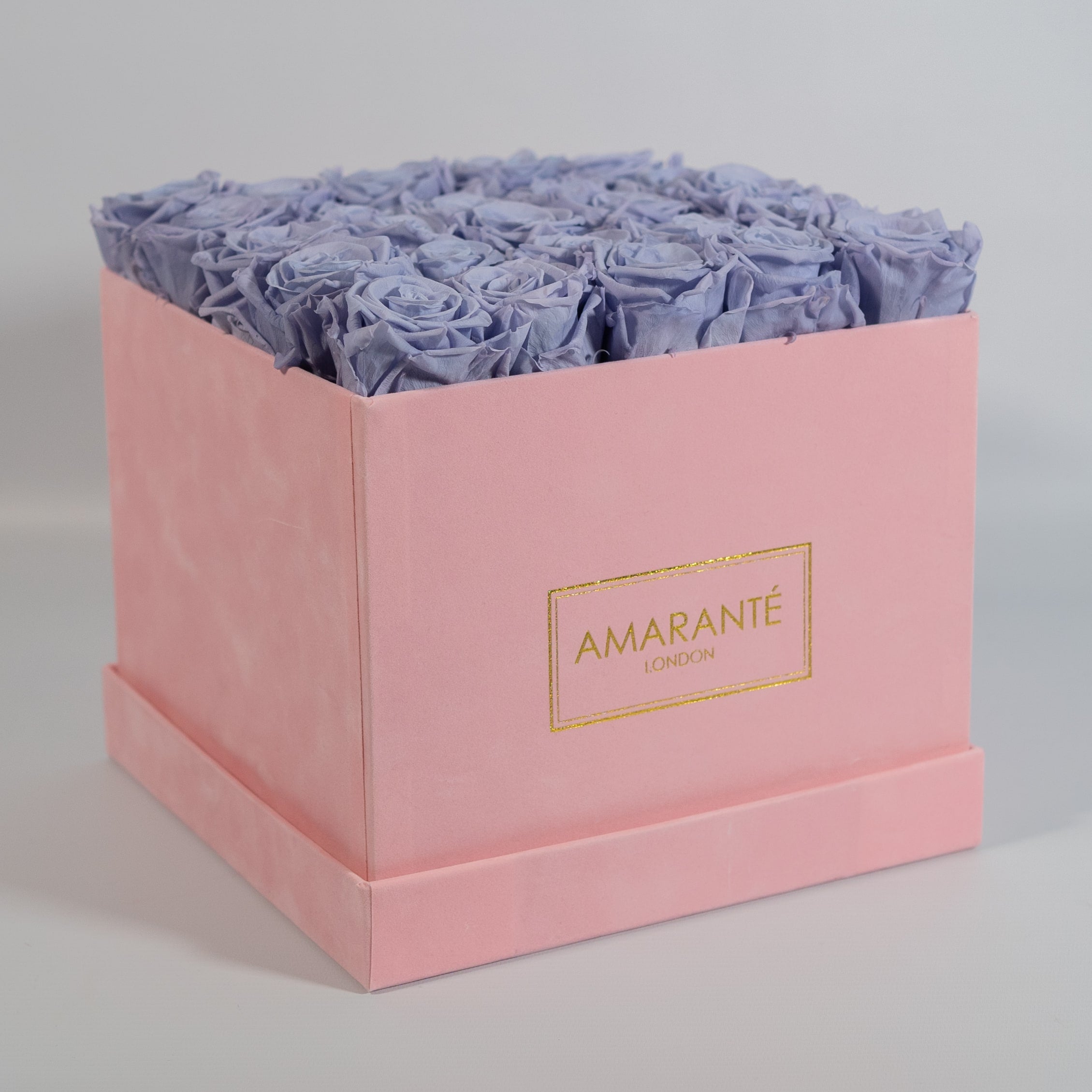 Artistic lavender roses photographed in a magical pink box 