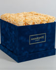 Large Royal Blue Square Suede Rose Box