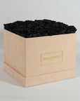 Fragrant black coloured Roses, ideal for expressing sympathy and sadness. 