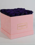 Luxurious dark purple roses exhibited in a stylish pink box 