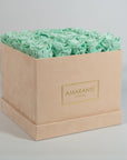 Elegant Mint Green Roses accessible in a divine beige large pack.