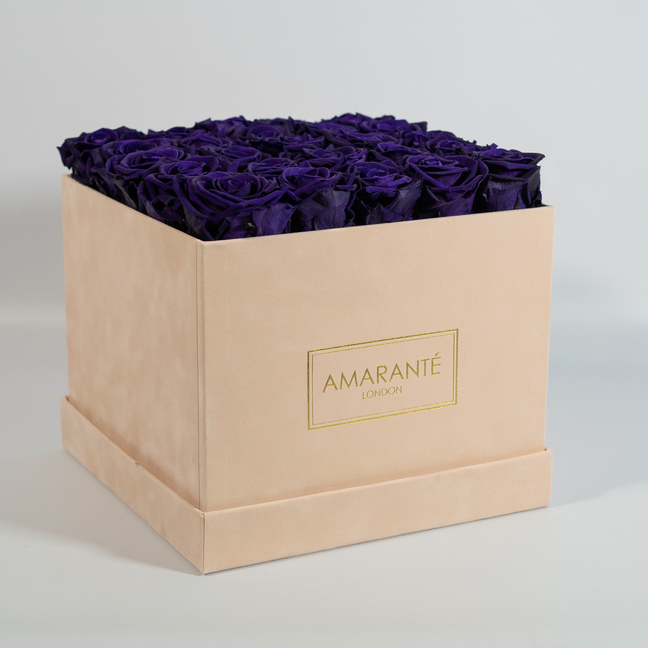 Luxurious Royal purple Roses Entrenched  in a dreamy beige box.