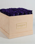Luxurious Royal purple Roses Entrenched  in a dreamy beige box.