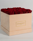 Breath-taking wine red Roses in a tender beige box. 