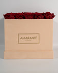 Dreamy wine red Roses connoting magic, lust, and admiration. 