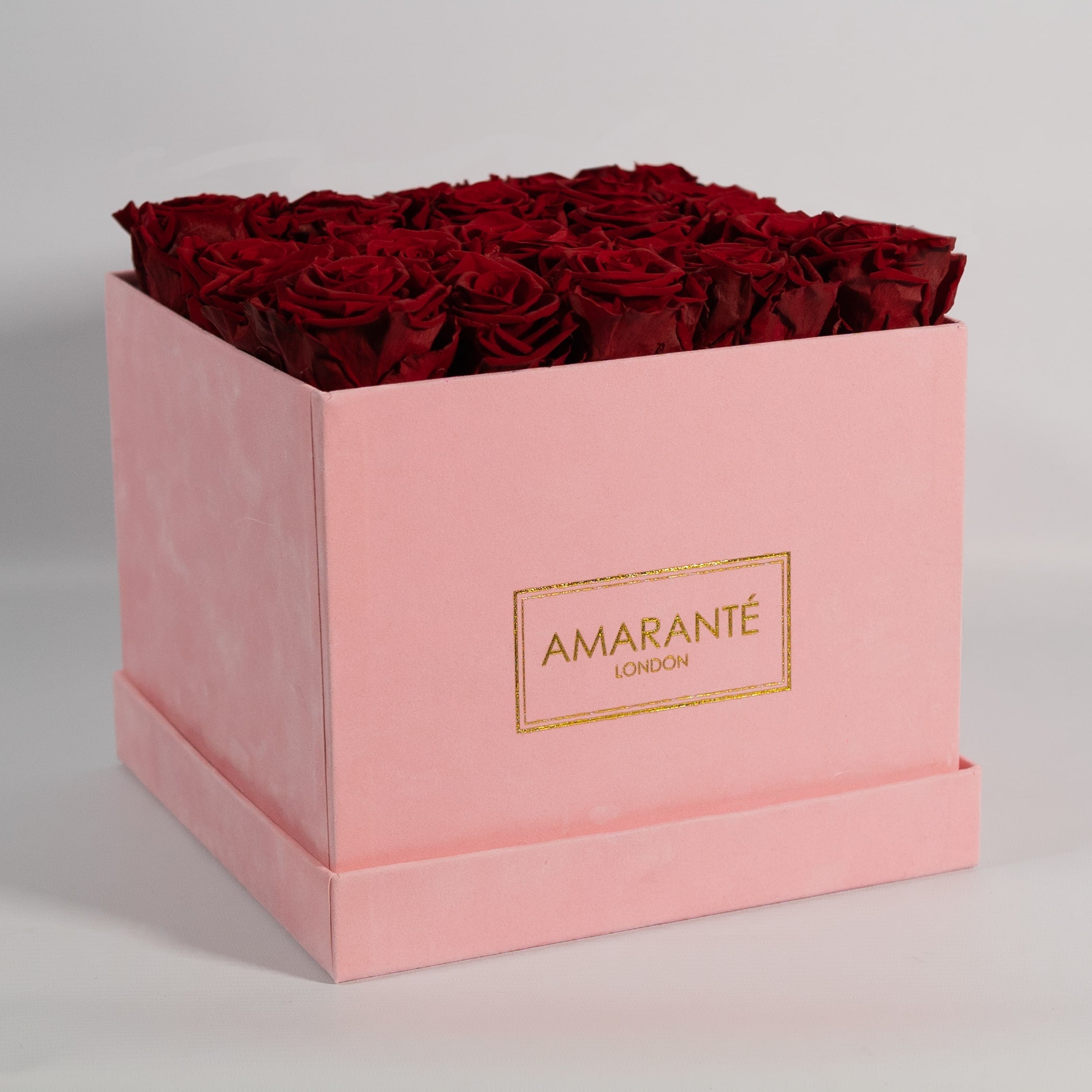 Amazing wine red roses featured in a blushing pink package 