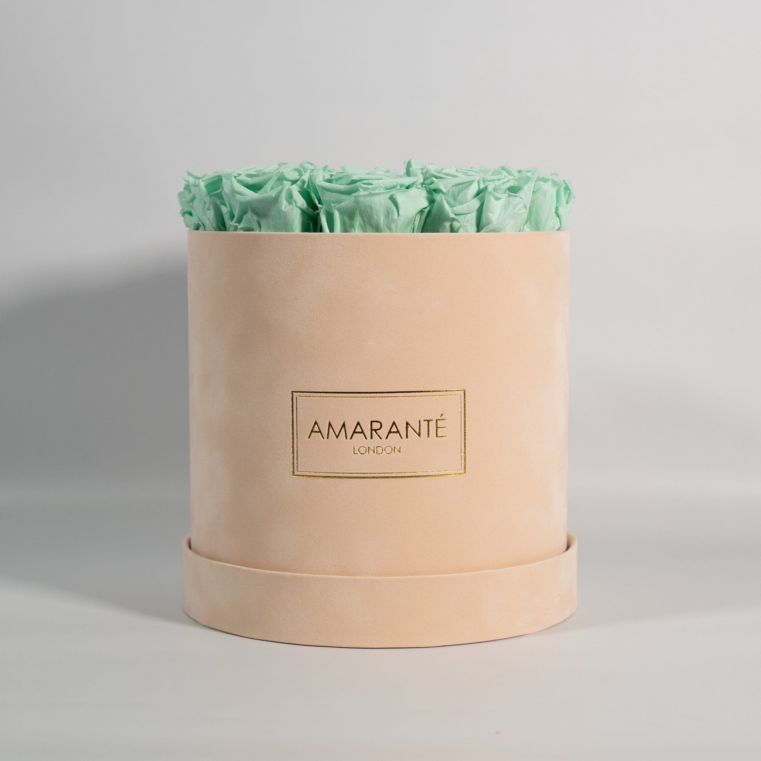 Revitalising mint green roses entrenched in dapper beige box.