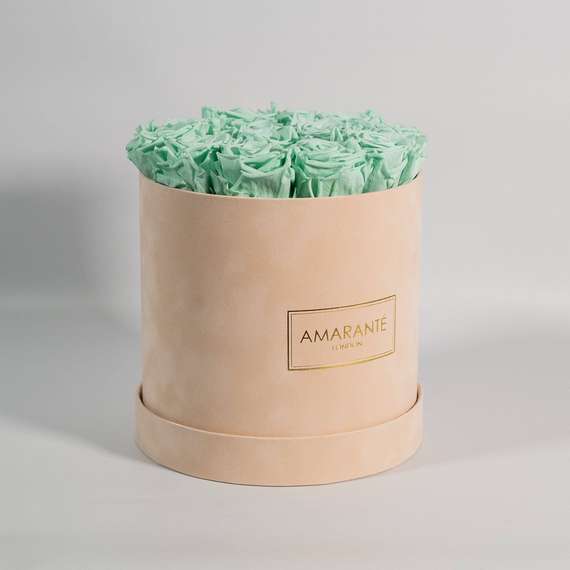 Cool mint green roses connoting nature, earth, and health. 