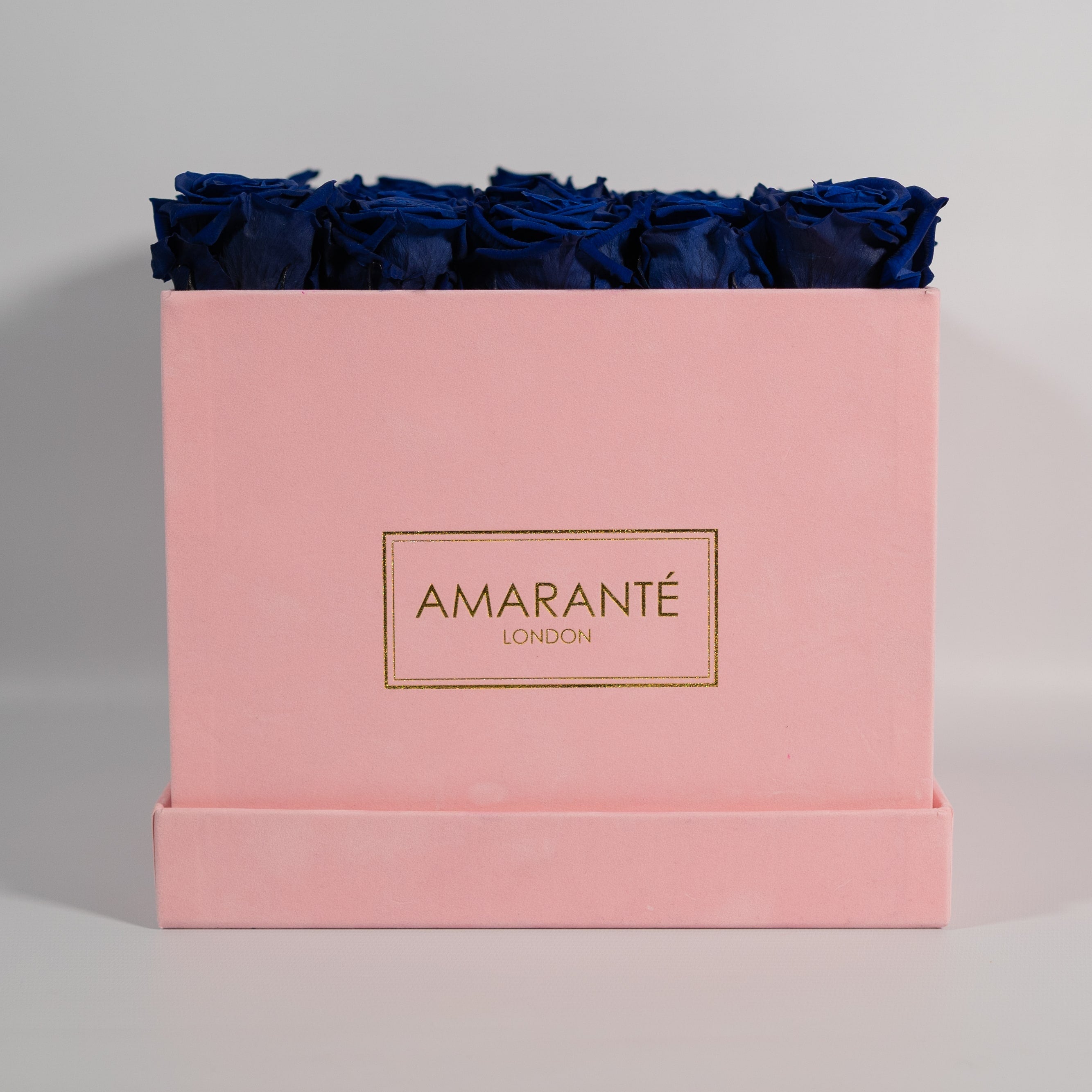 Luxurious royal blue roses featured in a stunning pink box 