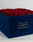 Dapper dark red Roses shown in a divine luxurious blue box, ideal for expressing love, romance, and courage. 