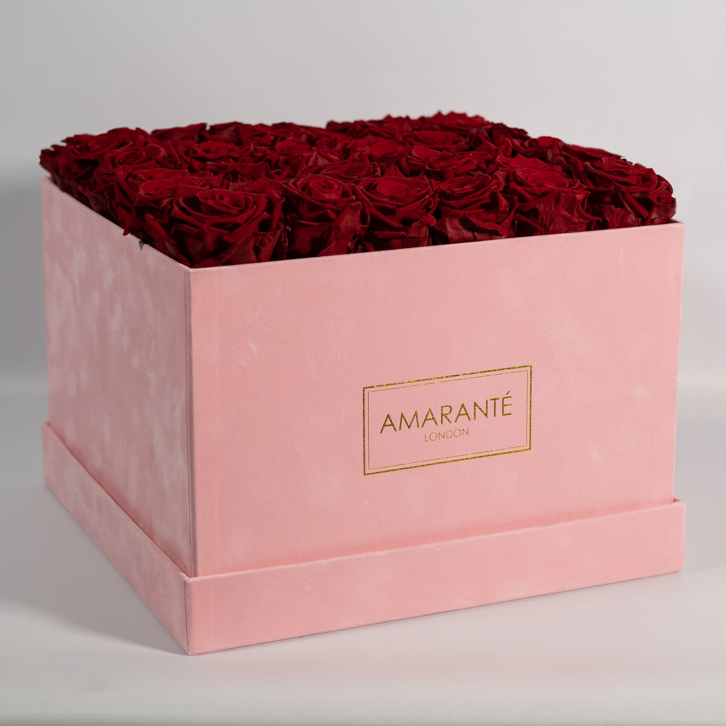 Majestic wine red roses shown in a blushing pink box 