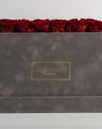 Magnificent wine red Roses, ideal for religious ceremonies, proposals, and engagements. 