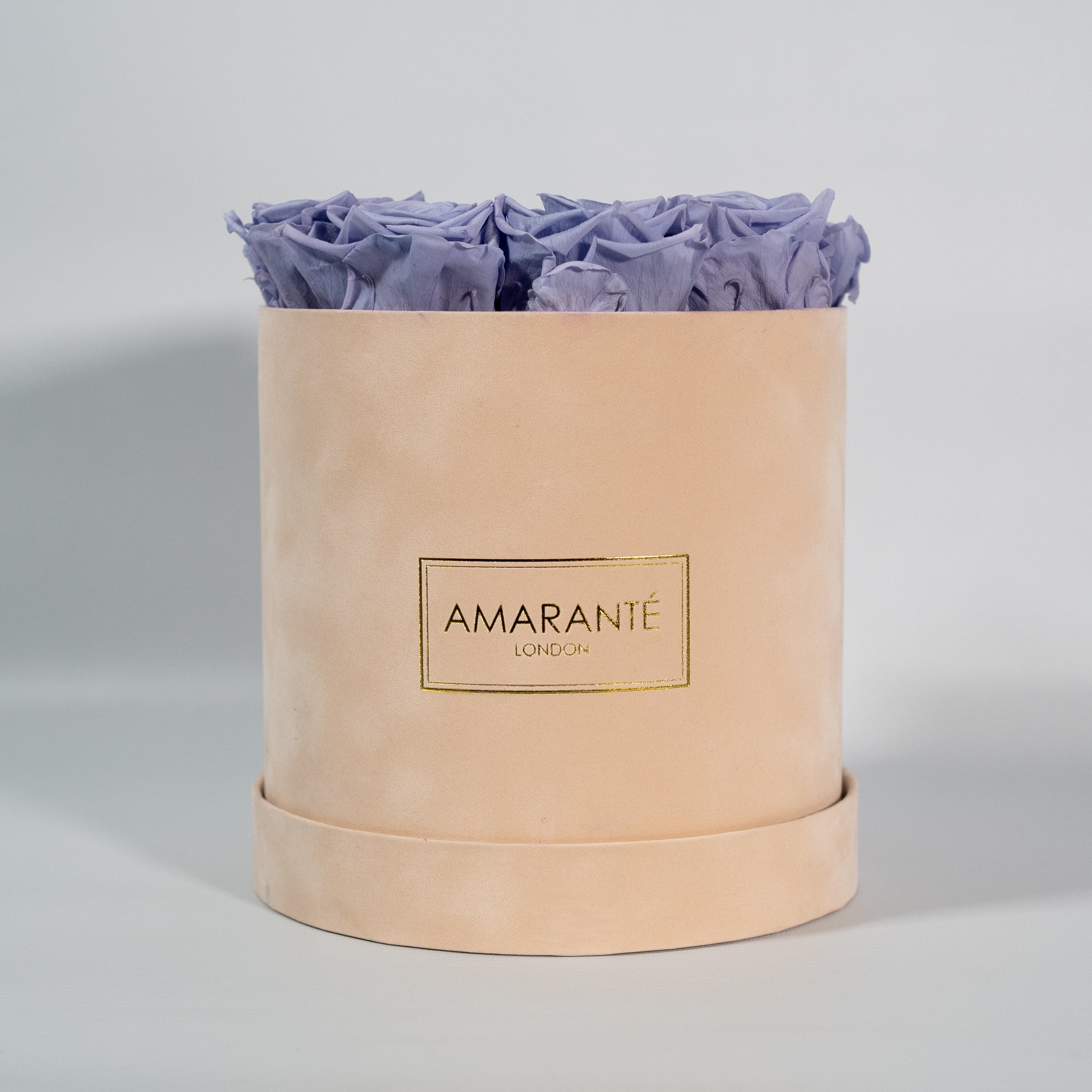 Abloom lavender roses suggesting calmness and tranquillity. 