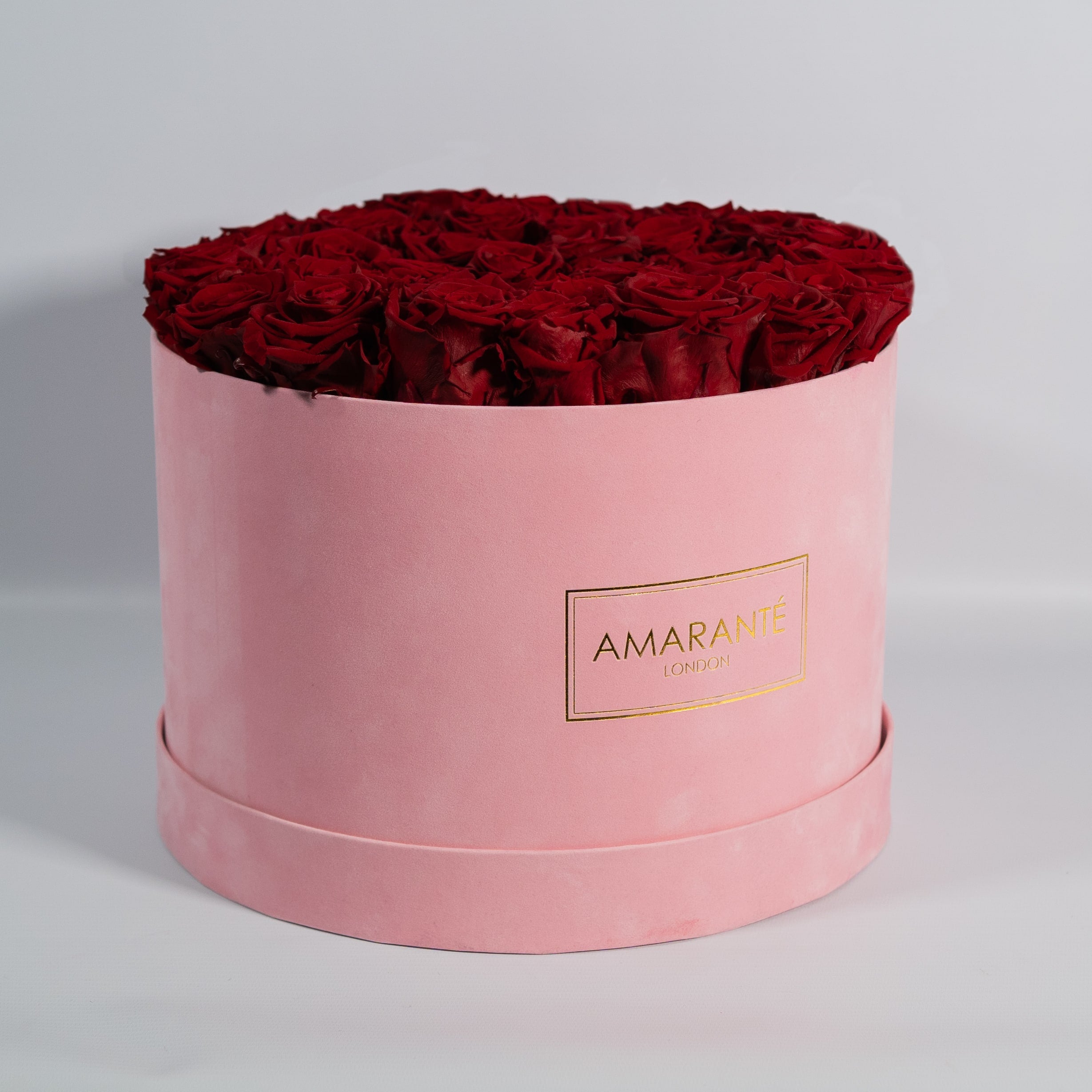 Charming wine red Roses denoting love and religious fervour