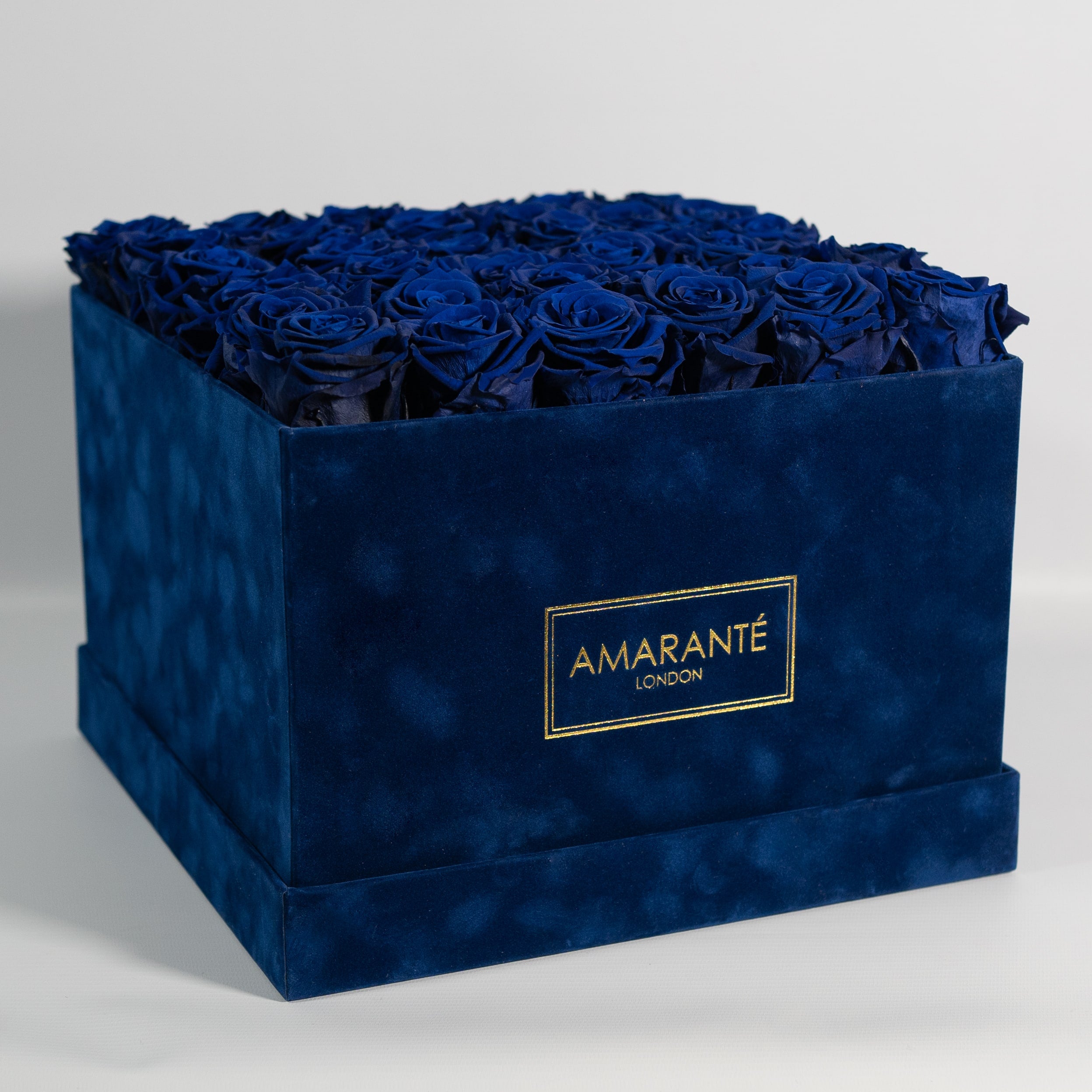 Majestic Royal blue Roses, connoting luxury, royalty, and security. 