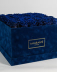 Majestic Royal blue Roses, connoting luxury, royalty, and security. 