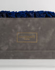 Luxurious royal blue Roses in an elegant grey box 