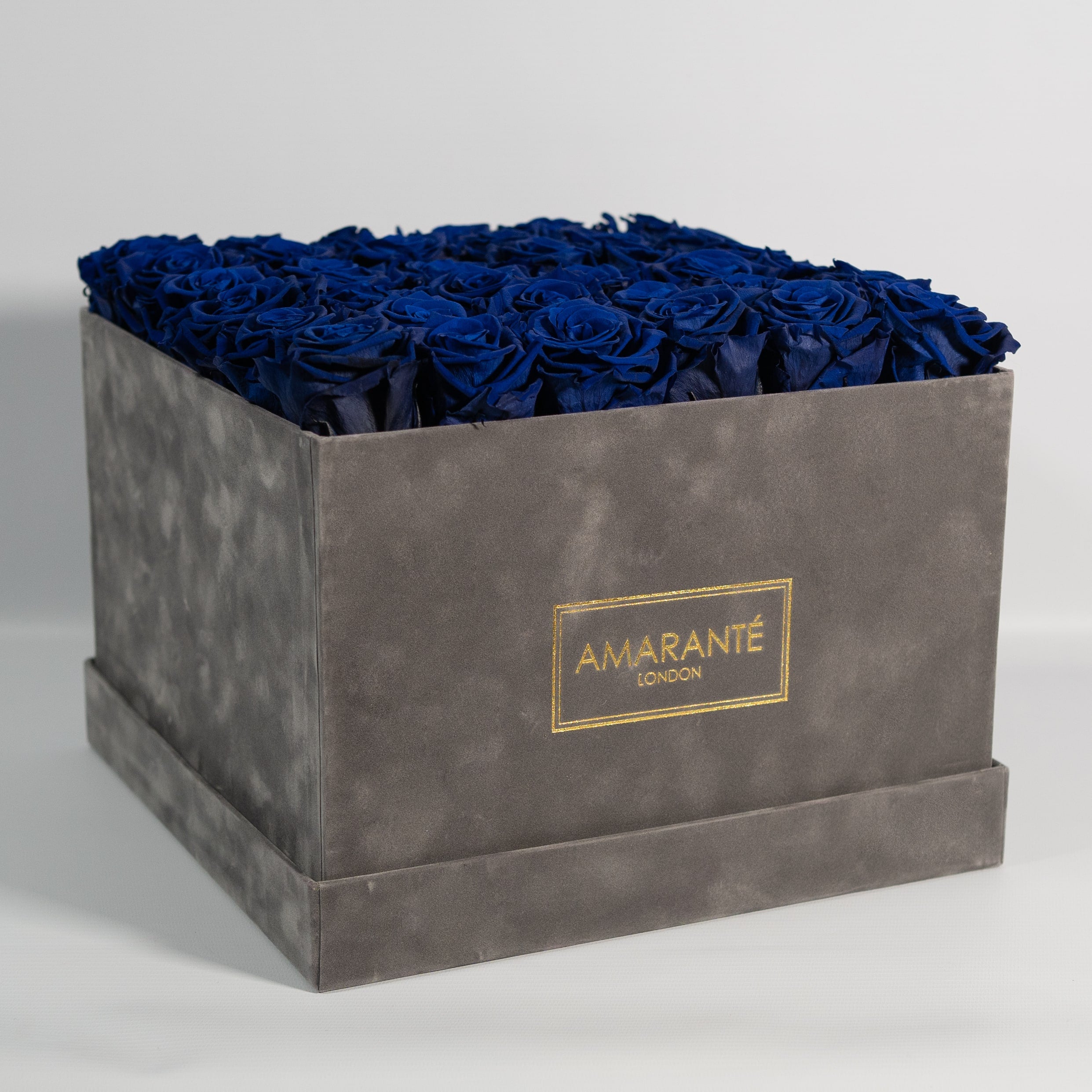Gorgeous royal blue Roses implying security and protection. 