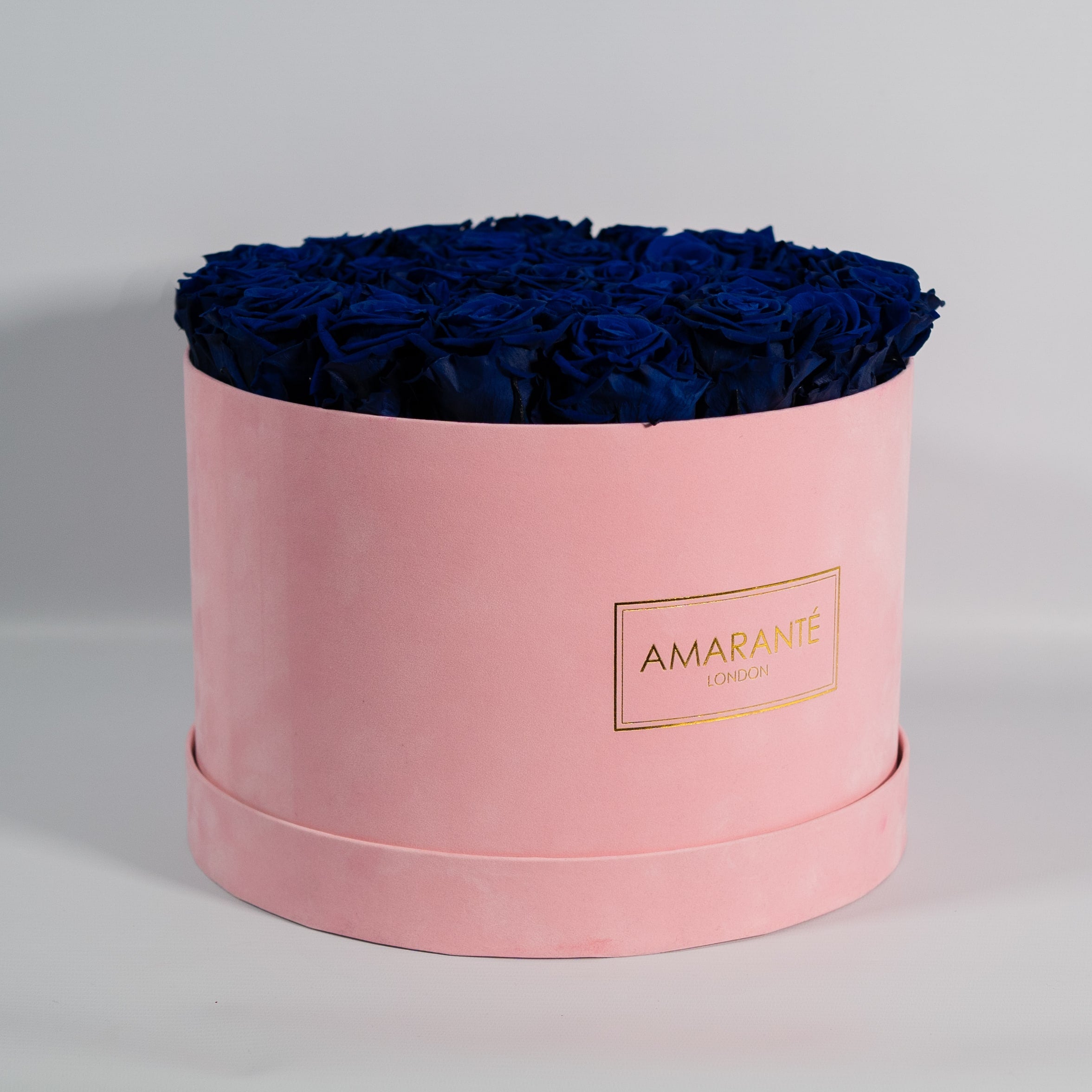 Chic royal blue Roses connoting class, protection, and royalty. 