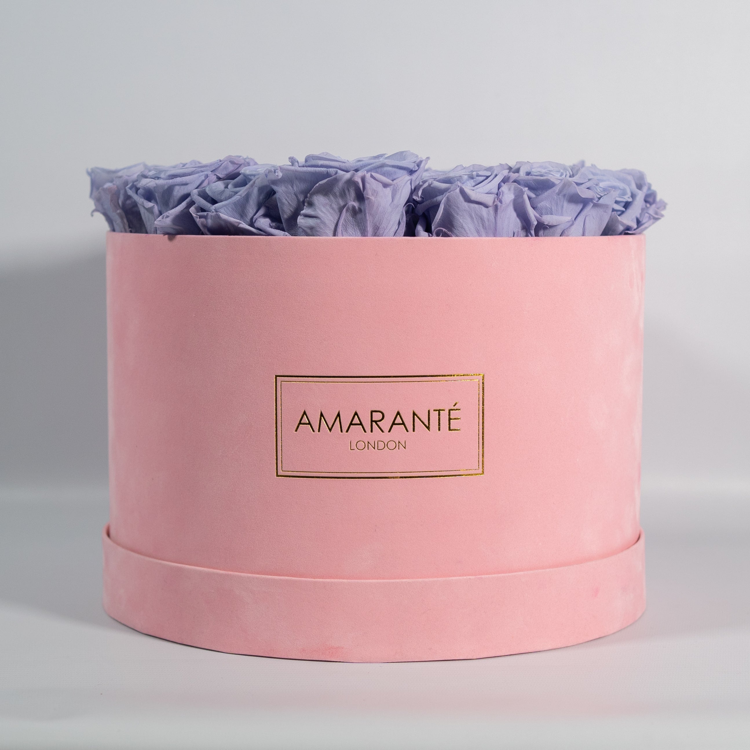 Enchanting lavender Roses implying care, nurture, and security. 