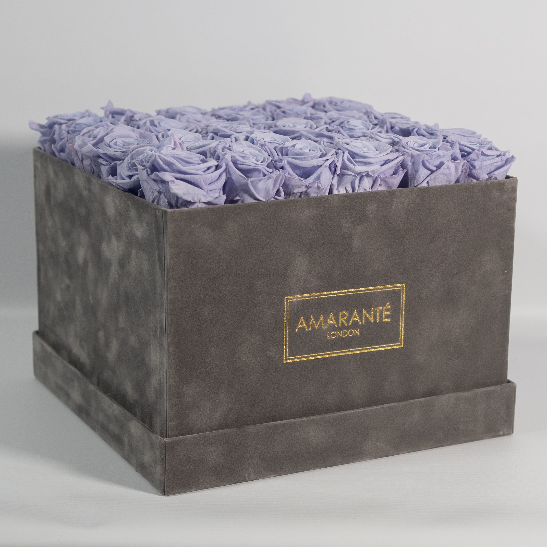 Enchanting lavender Roes encompassed in a divine grey box. 