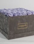 Enchanting lavender Roes encompassed in a divine grey box. 