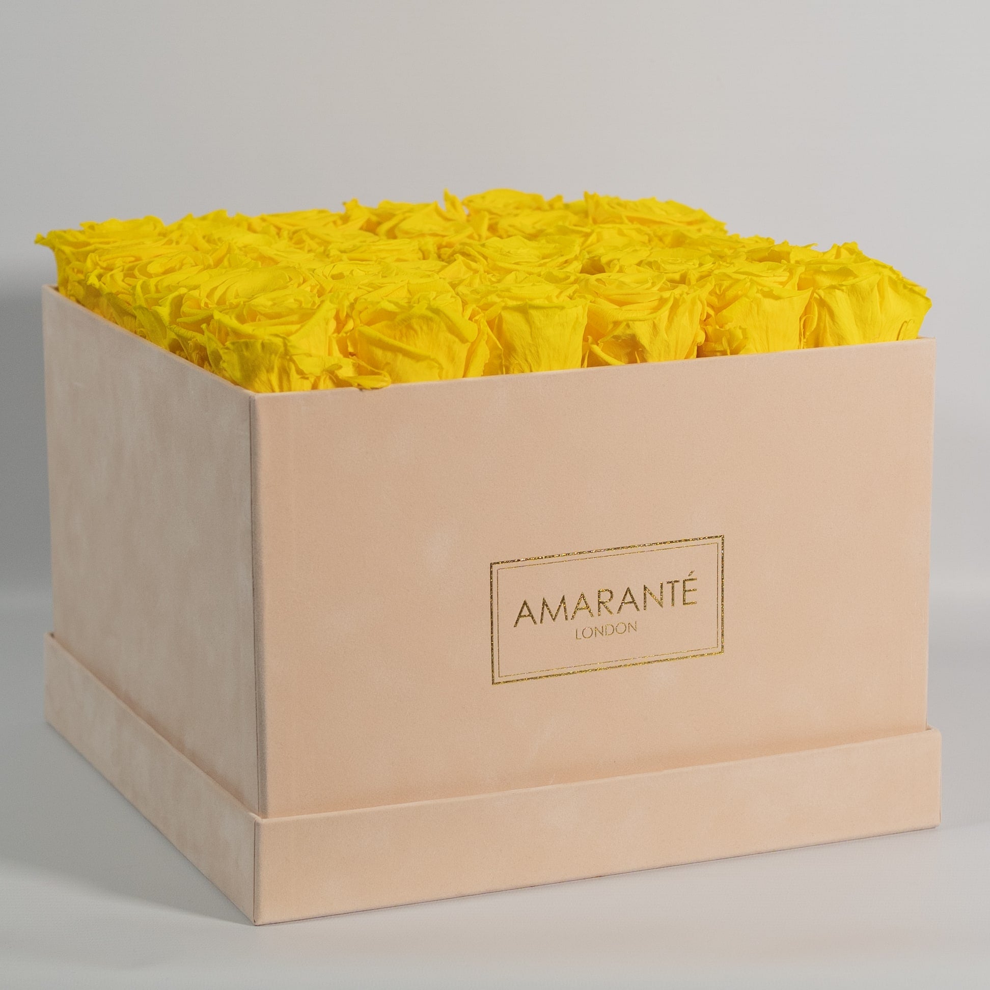 These Roses are guaranteed to plant a smile on everyone&#39;s face. Choose them for a great friend. 