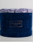 Tranquillising lavender roses photographed in a dapper blue box. 