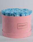 Captivating light blue Roses in a dapper pink suede box 