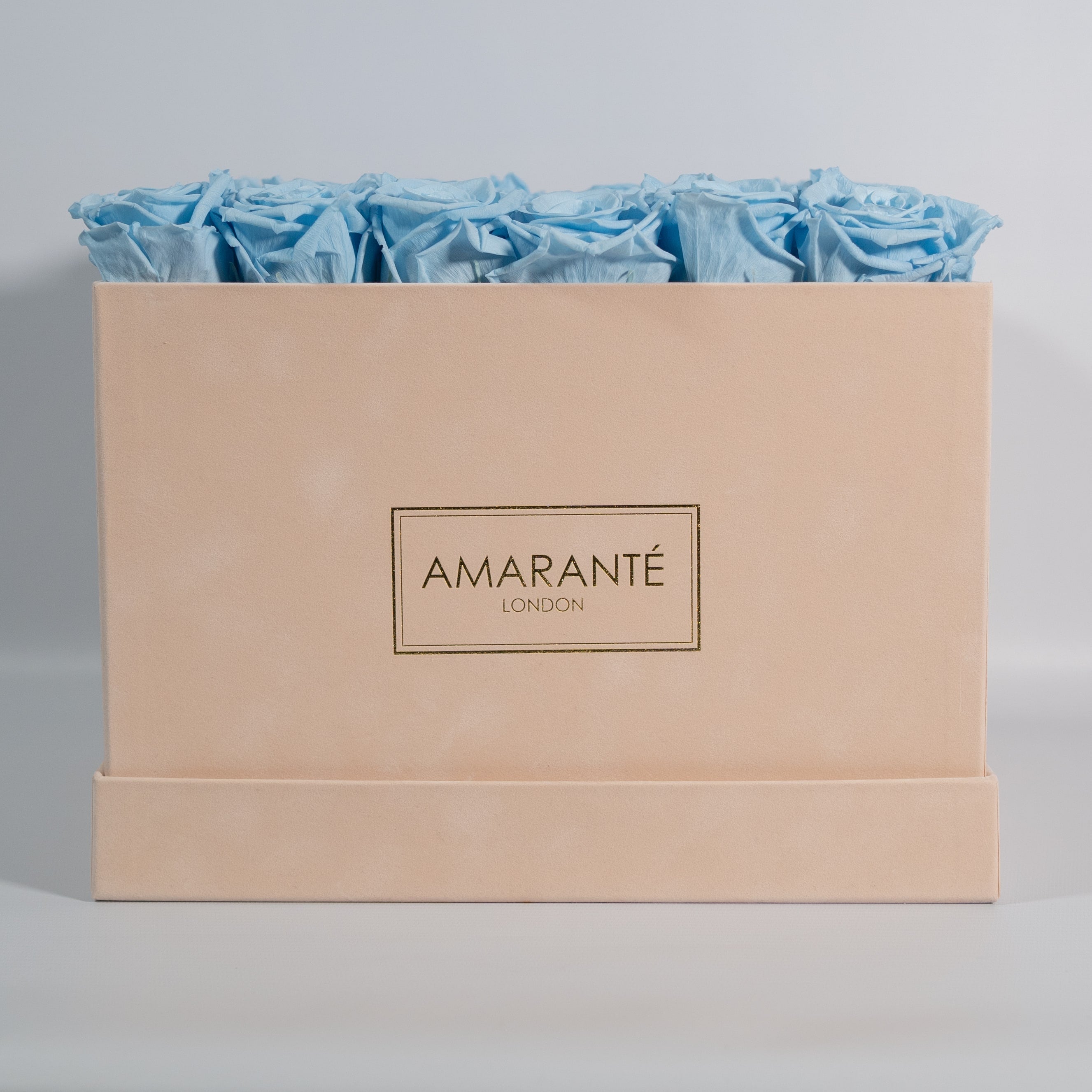 Illuminating light blue Roses in a sophisticated extra large box.