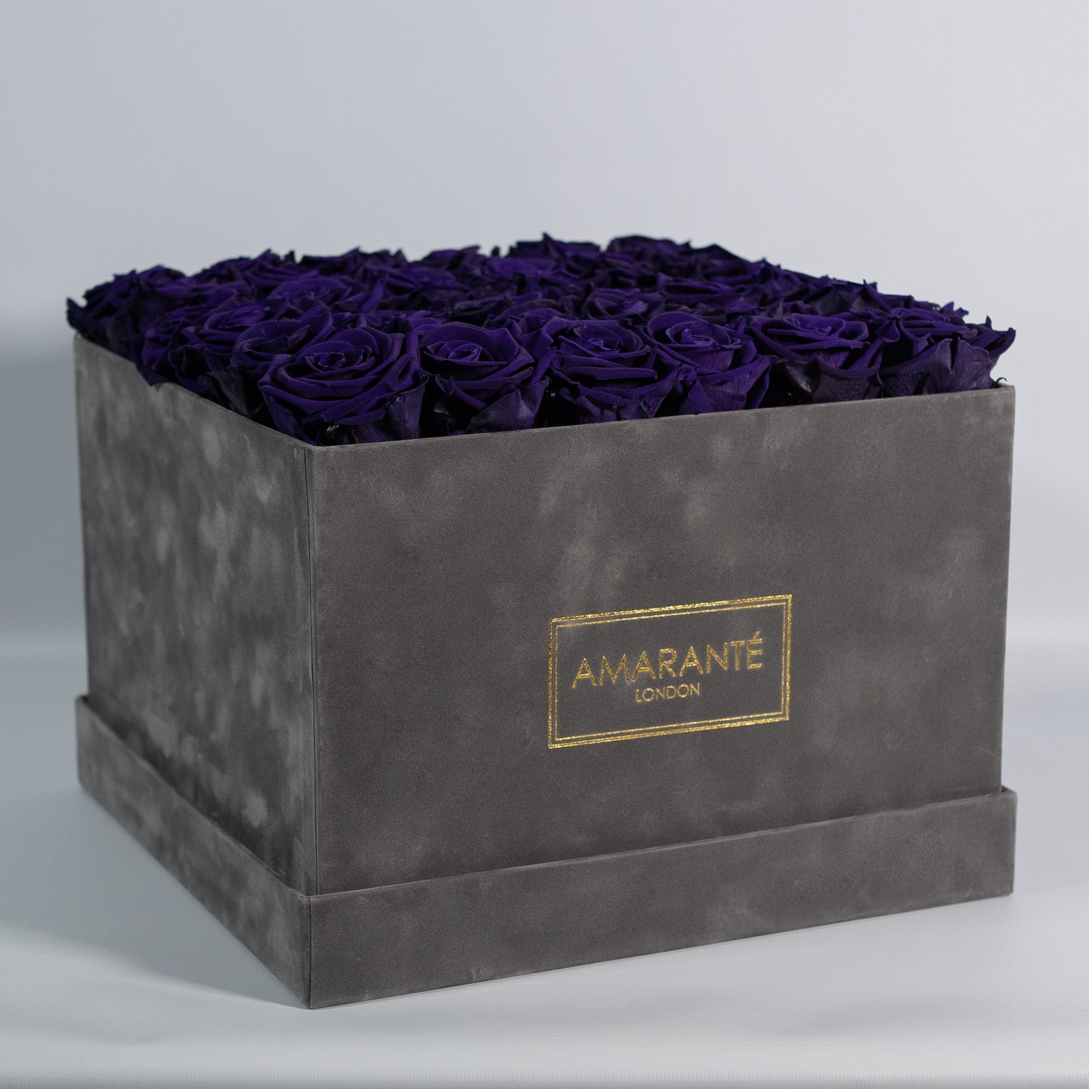 Arranged dark purple Roses in a trendy grey package 