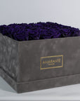 Arranged dark purple Roses in a trendy grey package 