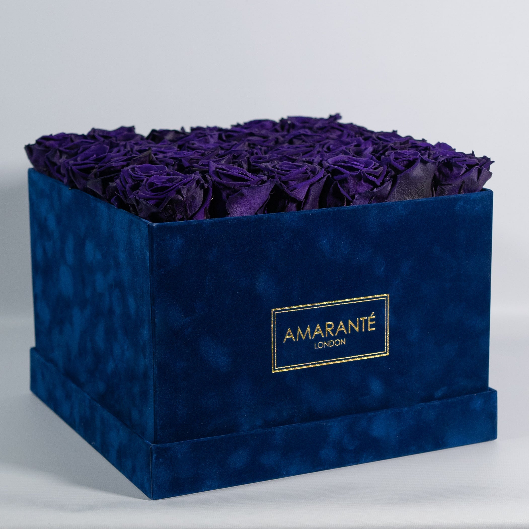 Magical dark purple Roses shown in a dark blue package. 