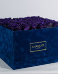 Magical dark purple Roses shown in a dark blue package. 