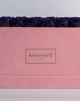 Abloom dark purple roses encompassed in a beautiful pink box 
