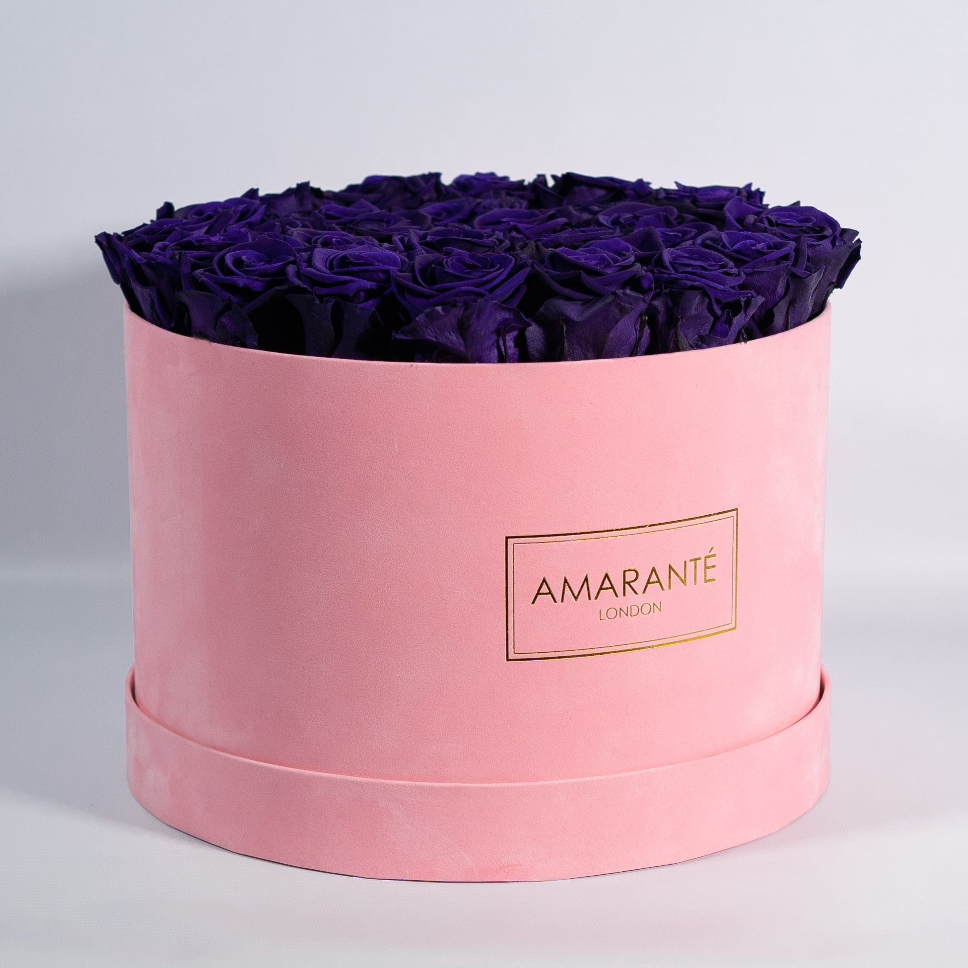 Magical dark purple Roses in a stunning pink package. 