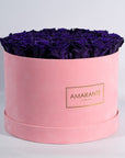 Magical dark purple Roses in a stunning pink package. 