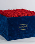 Stunning red Roses in a luxurious blue box. 