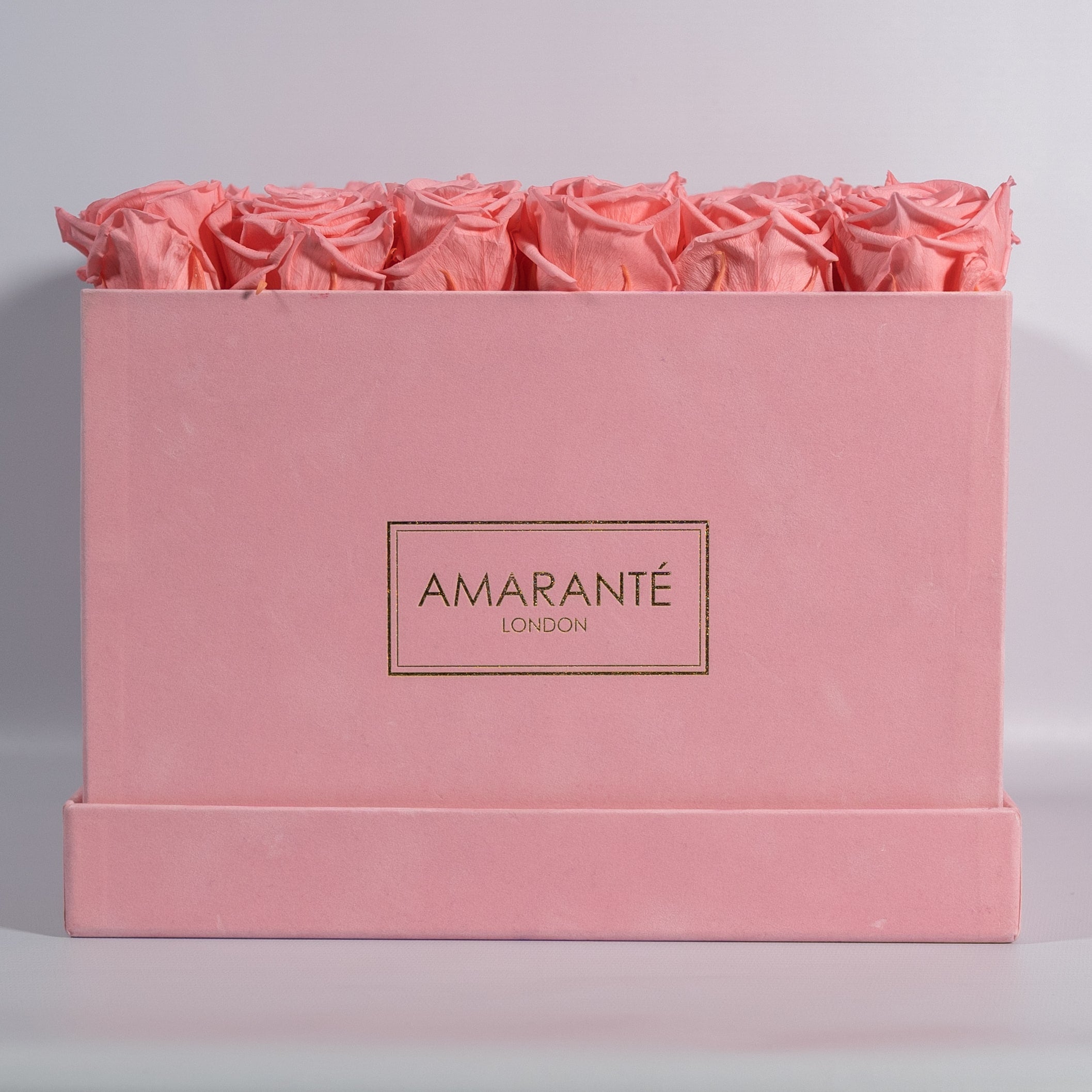 Blushing light pink roses imbedded in an alluring pink box 